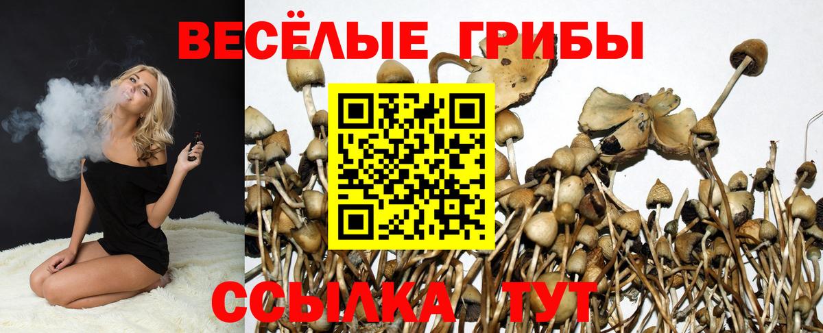 Галлюциногенные грибы MAGIC MUSHROOMS  Вход с VPN  Гусиноозёрск  Псилоцибиновые грибы GOLDEN TEACHER 